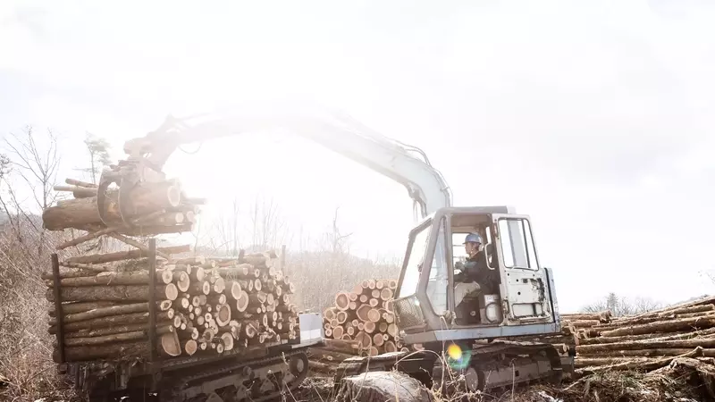 West Fraser Timber Faces Challenges Amidst Lumber Market Weakness