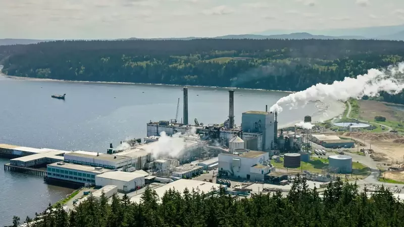 Smurfit Westrock's Q1 Performance and Future Outlook