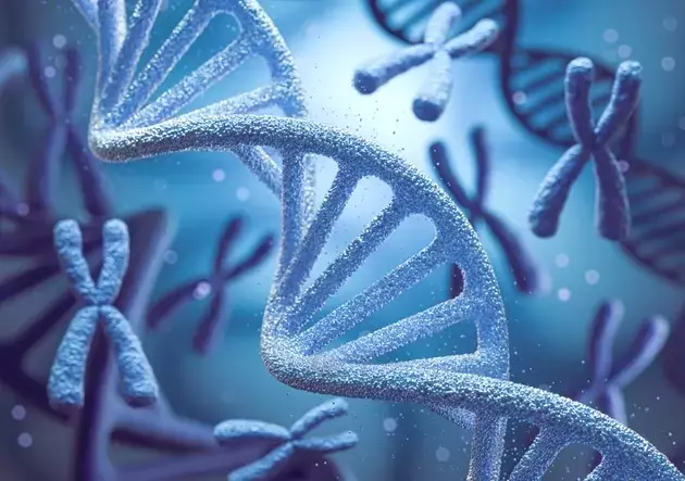 Merck's Strategic Oncology Expansion