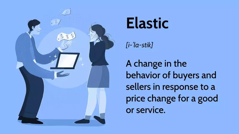 Understanding Elasticity in Economics: A Comprehensive Guide