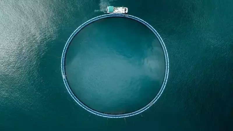 Xylem's Valuation: A Deeper Dive into Growth and Financial Health