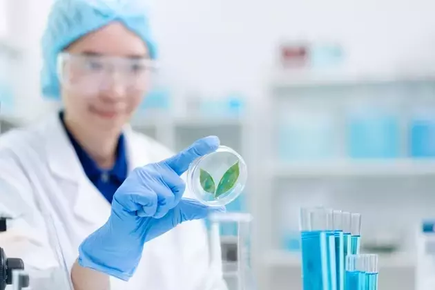 Corcept Therapeutics: Breakthroughs in Cancer and ALS Treatment