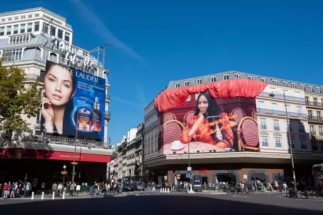 Navigating the Complexities of Estee Lauder's Financial Performance