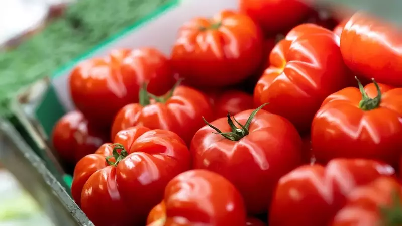Grocery Price Fluctuations: Rising and Falling Costs