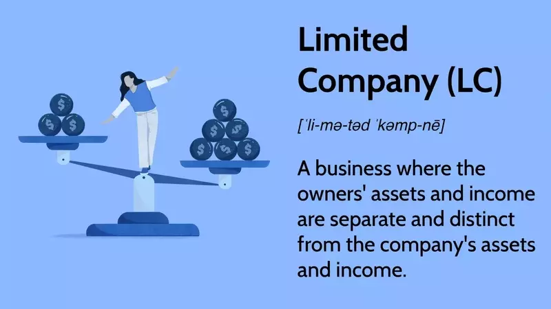 Understanding Limited Companies: Structure, Benefits, and Variations