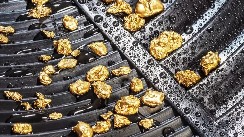 Equinox Gold Acquires Orla Mining: A Strategic Merger in the North American Gold Sector