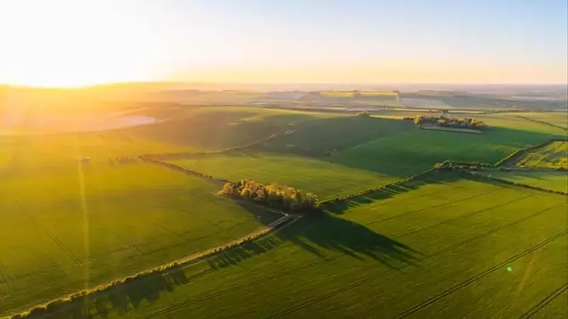 Gladstone Land Navigates Agricultural Headwinds: A Strategic Shift Towards Sustainable Earnings