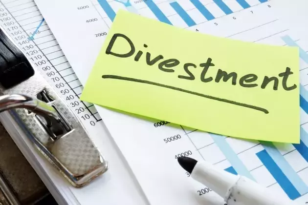 Ingevity's Strategic Divestment and Future Outlook