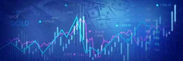 Real Estate Market Performance and Investment Insights