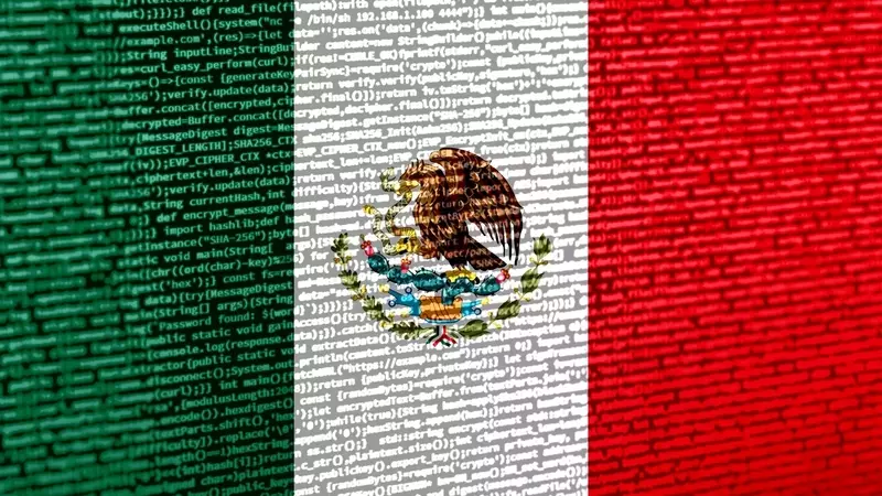 Analyzing the Mexico Fund's Investment Profile