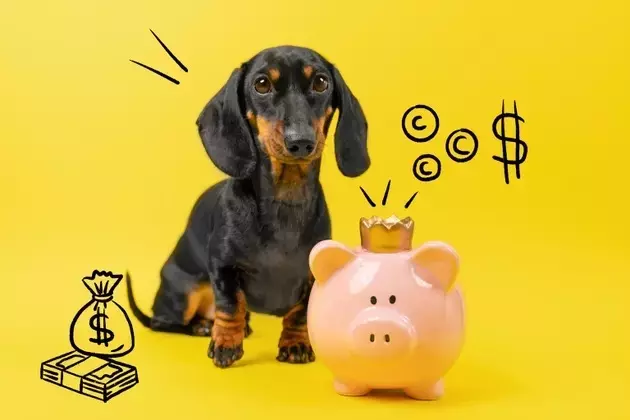 SDOG: A Dividend-Focused ETF with Limited Growth Potential