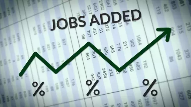 U.S. Labor Market Displays Remarkable Resilience Despite Shifting Economic Currents