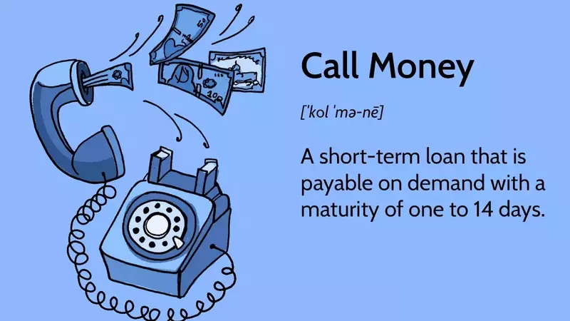 The Dynamics of Call Money in Financial Markets