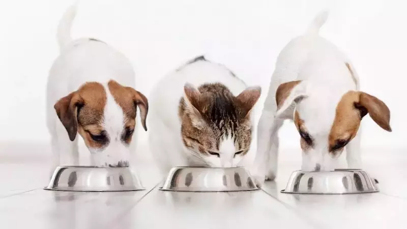 Nutriment Company Expands German Foothold with Dual Pet Food Acquisitions