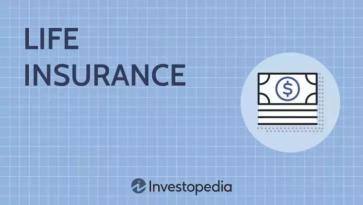 Understanding Credit Life Insurance: Protecting Your Legacy and Your Loved Ones