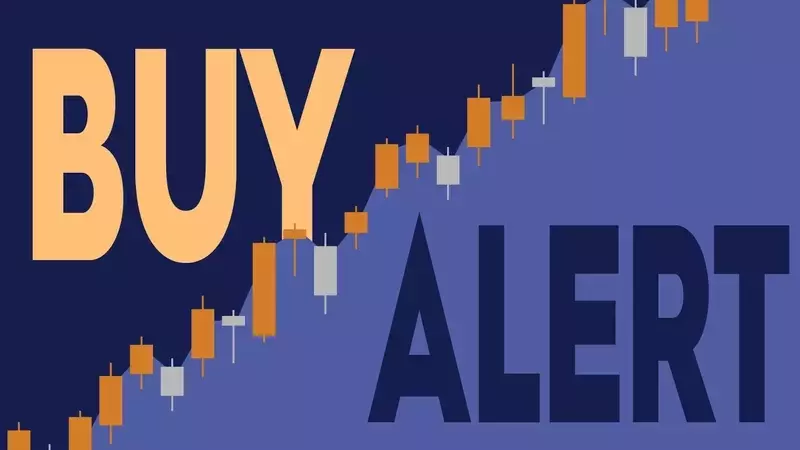 ICF International Director Buys 8,000 Shares Amidst Stock Dip