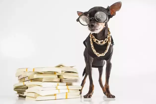 Strategic Cash Allocation: Re-evaluating Investments in Treasury Bonds