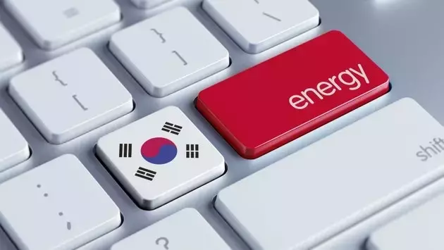 Korea Electric Power: Navigating Cost Pressures and Nuclear Growth