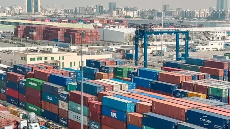 RUI Holdings IPO: A Deep Dive into Its Overvalued Logistics Business
