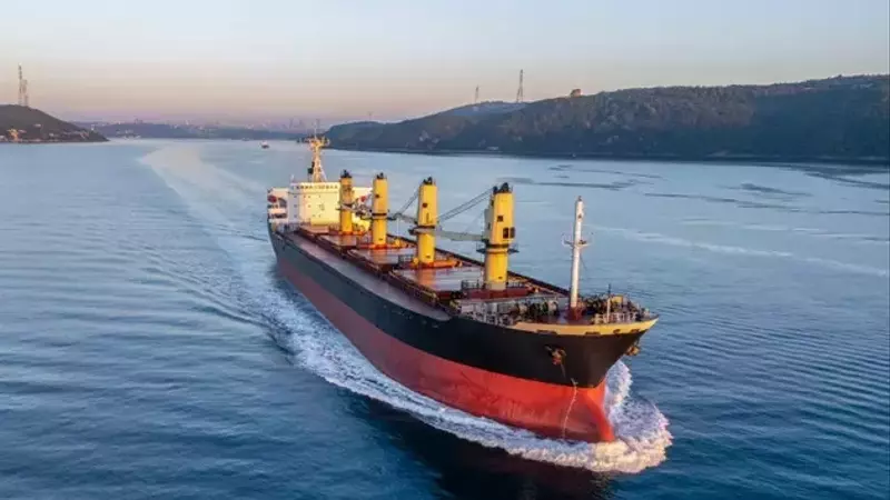Diana Shipping's Strategic Course: Navigating Market Swells with Caution