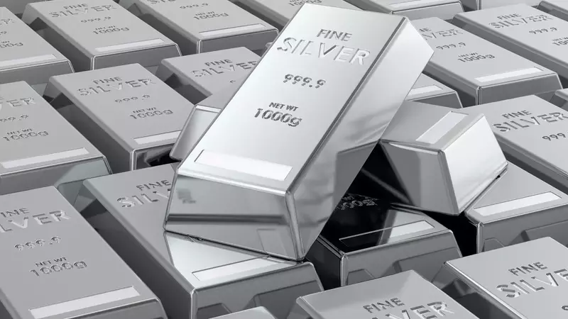 Vizsla Silver: Panuco Project Progress and Investment Outlook