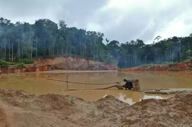 Aura Minerals: A Gold Miner's Ascent Amidst Market Fluctuations