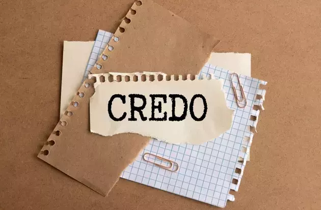 Credo Technology's Strong Performance and Future Growth Potential
