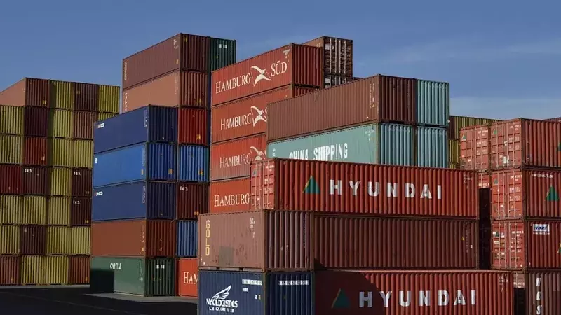 Coupang's Strategic Expansion and Market Potential