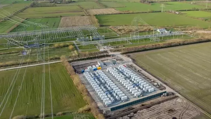 NeoVolta: A Strategic Play in Energy Storage Amidst Market Shifts