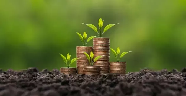 A Detailed Comparison of Leading Dividend Growth ETFs: SCHD vs. VYM