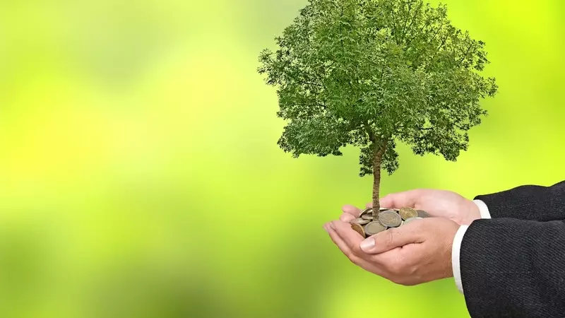 LendingTree's Insurance Sector Fuels Growth Amidst Market Volatility