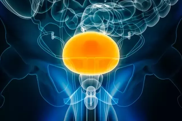 enGene Therapeutics: A High-Risk, High-Reward Investment Opportunity