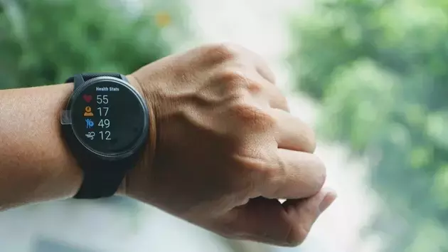 Garmin's Strong Q1 Performance Meets Valuation Challenges: A Hold Recommendation