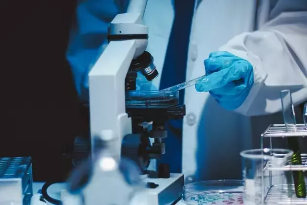 Shattuck Labs Maintains 'Hold' on SL-325, Awaiting Phase 2b Data