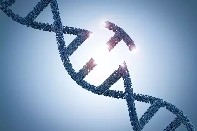 Prime Editing's Potential: A Transformative Approach to Genetic Therapies