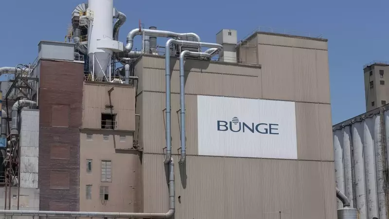 Bunge Stock Rating Adjusted: From 'Buy' to 'Hold' Amidst Near Record Highs