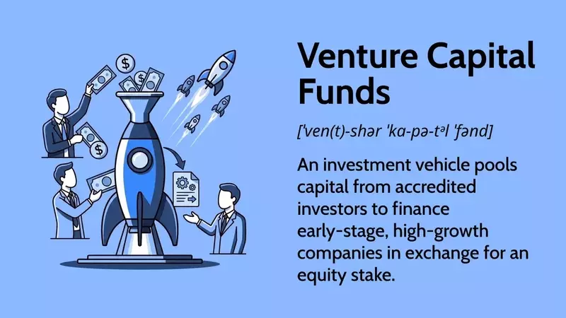 Understanding Venture Capital Funds: Structure, Operations, and Returns