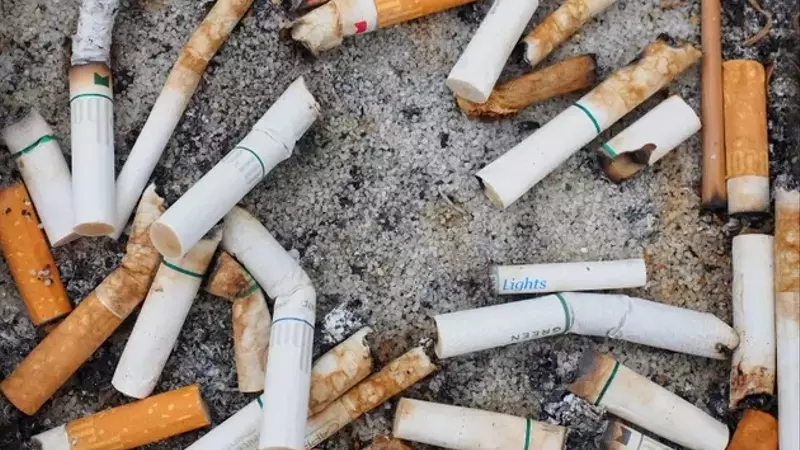 Altria's Shifting Sands: A Deep Dive into Declining Cigarette Dominance