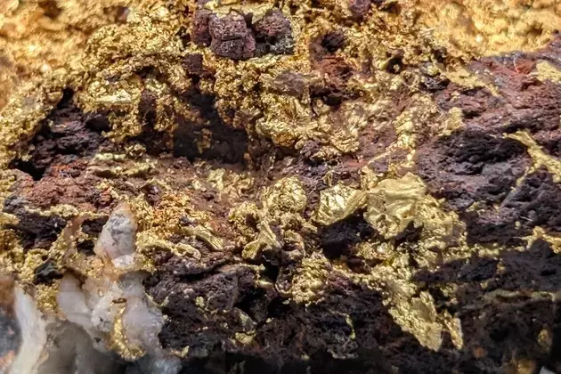 New Found Gold: Navigating Risk and Opportunity in Gold Exploration
