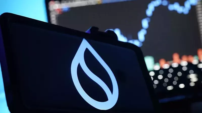 SUI Group Expands Bluefin Alliance with Additional SUI Loan