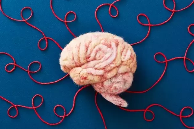 MapLight Therapeutics' Schizophrenia Drug: A Balanced Outlook Ahead of Phase 2 Results