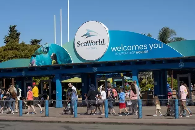 United Parks & Resorts: Navigating Challenges with Value and Growth Potential