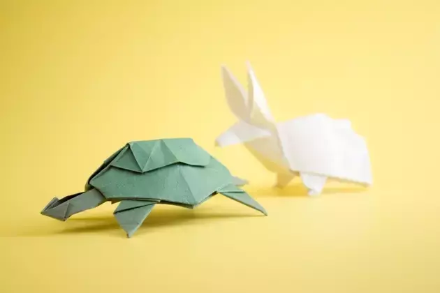 The Steadfast Approach: Dominating the 'Tortoise vs. Hare' Investment Race