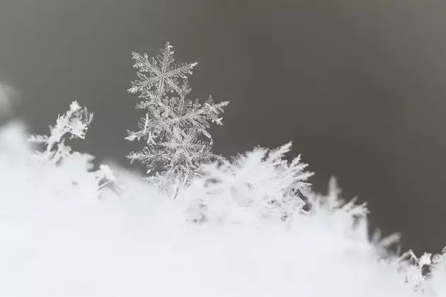 Snowflake's AI-Driven Surge: A Reevaluation of Investment Potential