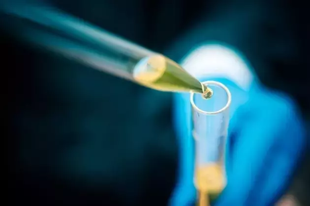 Biotech's Resurgence: A Hidden Beneficiary of Rate Cuts and AI Integration