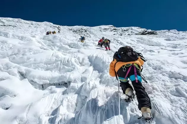 Everest Group's Strong Q1 Performance and Investment Outlook