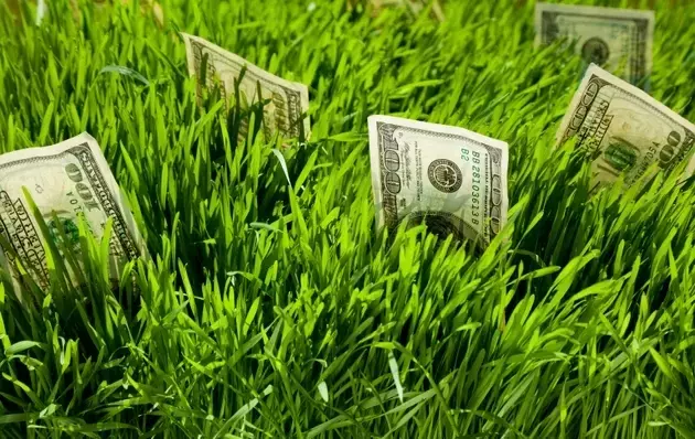 AI Investments: A Shifting Perspective on Business Lifecycle
