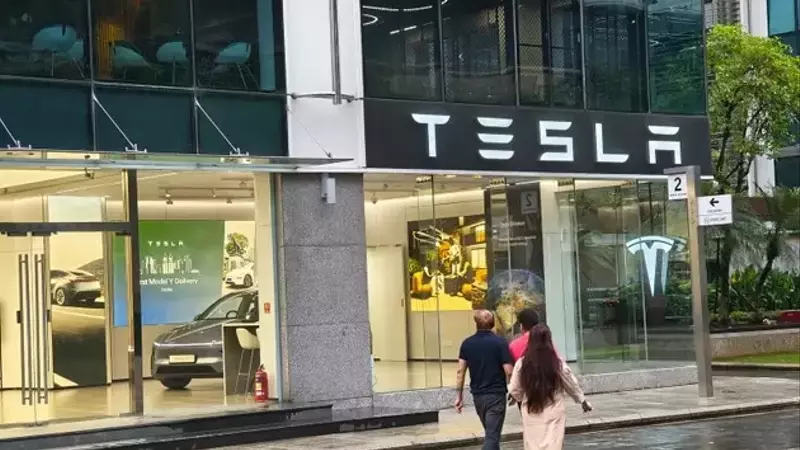 Tesla's Stock Plunge: A Wake-Up Call