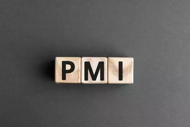 Manufacturing Sector Experiences Moderate Growth Slowdown in June