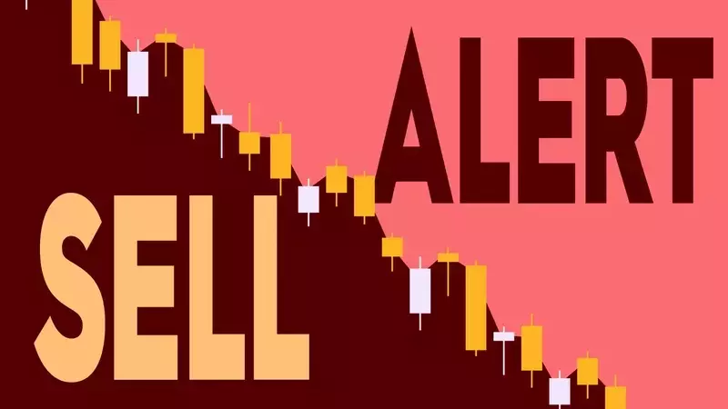 Ambarella Executive's Stock Sale: A Closer Look at Insider Activity and Market Performance